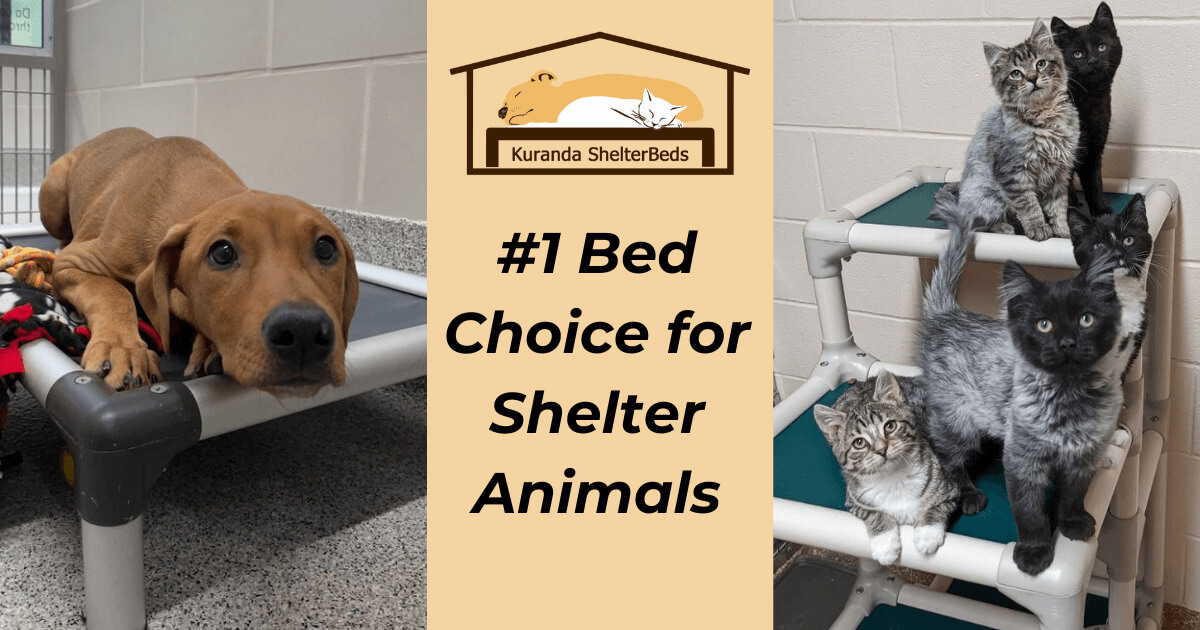 Kuranda ShelterBeds Donate a bed to shelter pets