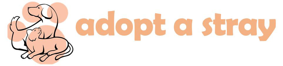 Organization's Logo