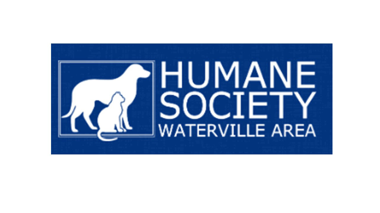 Organization's Logo