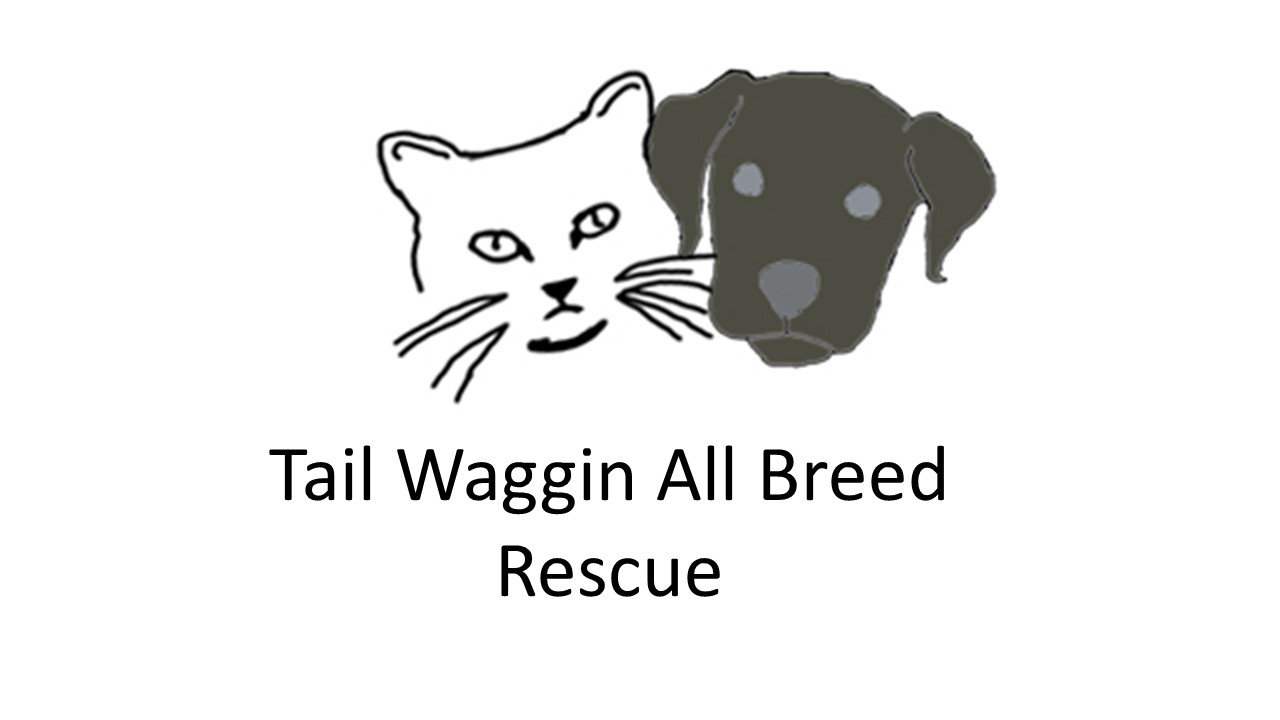 Logo for Tail Waggin All Breed Rescue