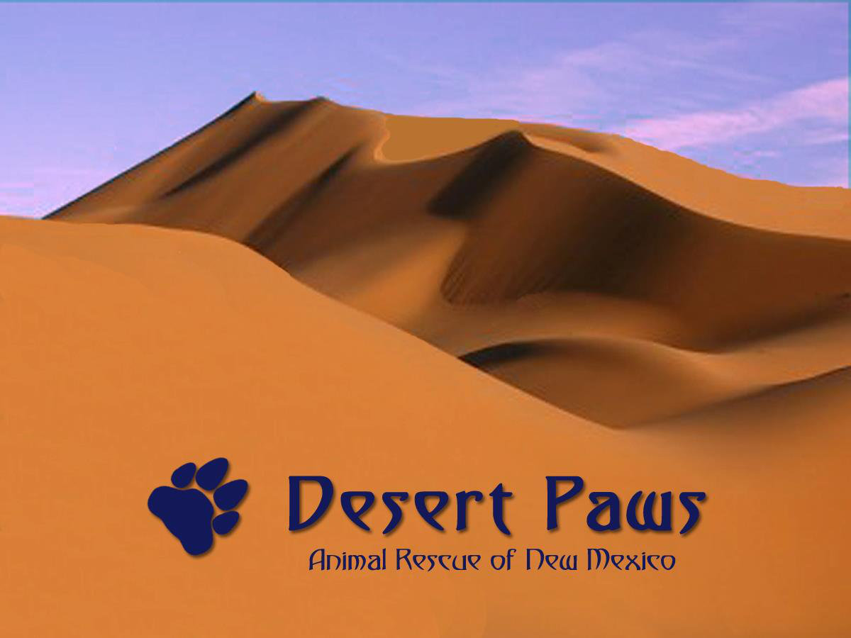 Logo for Desert Paws Animal Rescue