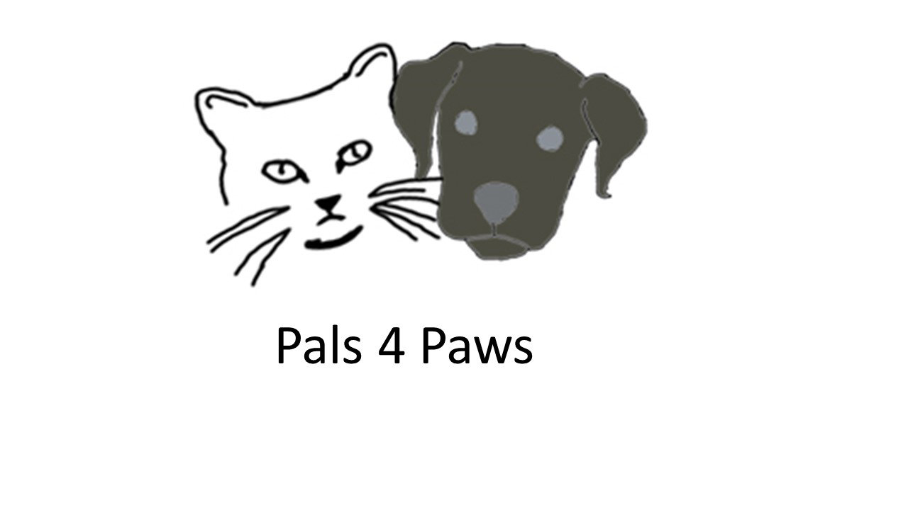 Organization's Logo