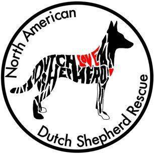 Organization's Logo