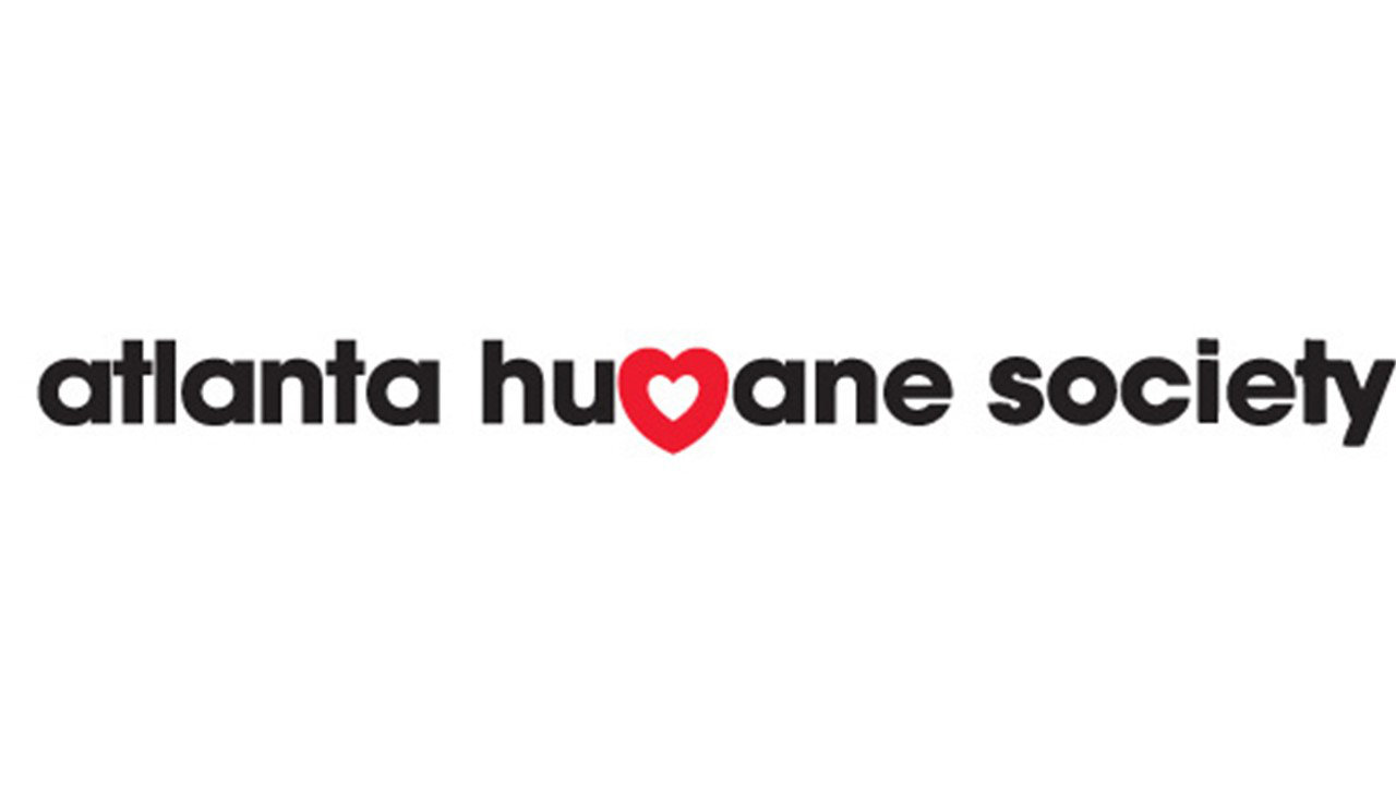 Organization's Logo