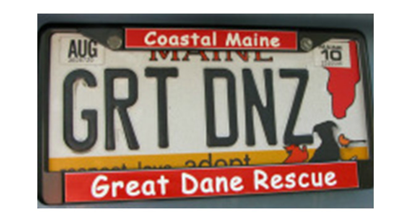 Logo for Coastal Maine Great Dane Rescue