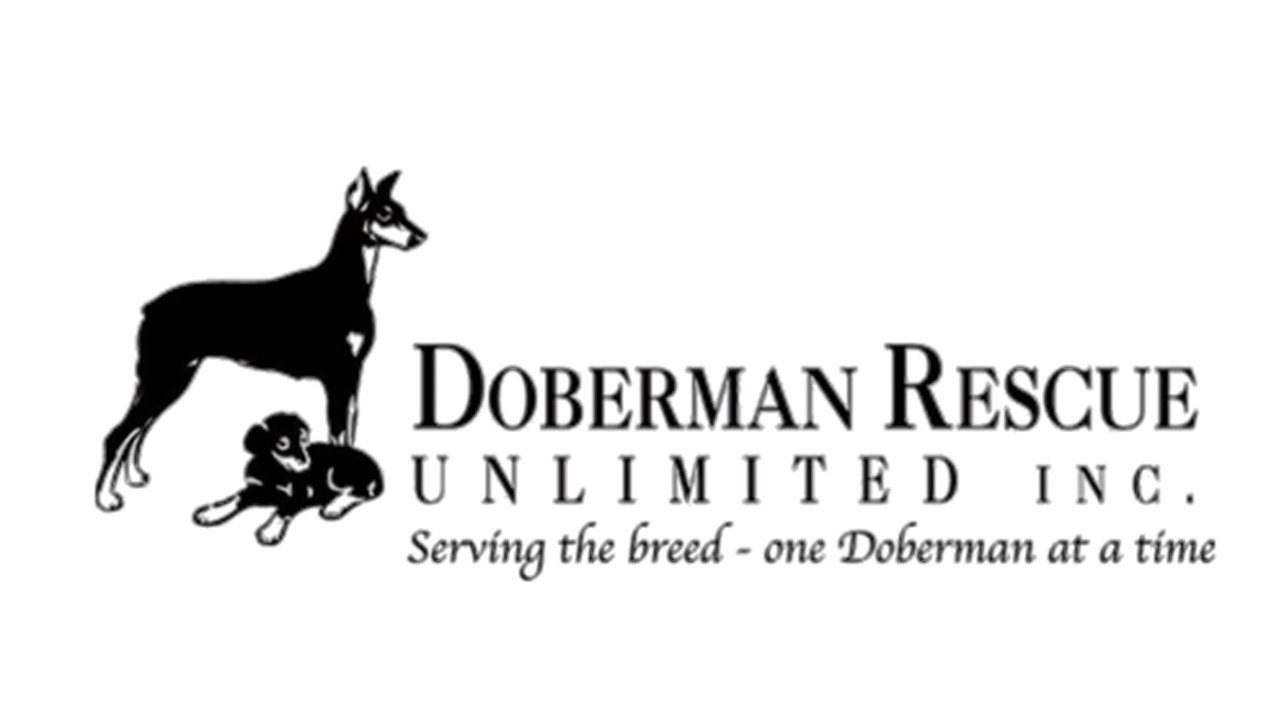 Logo for Doberman Rescue Unlimited