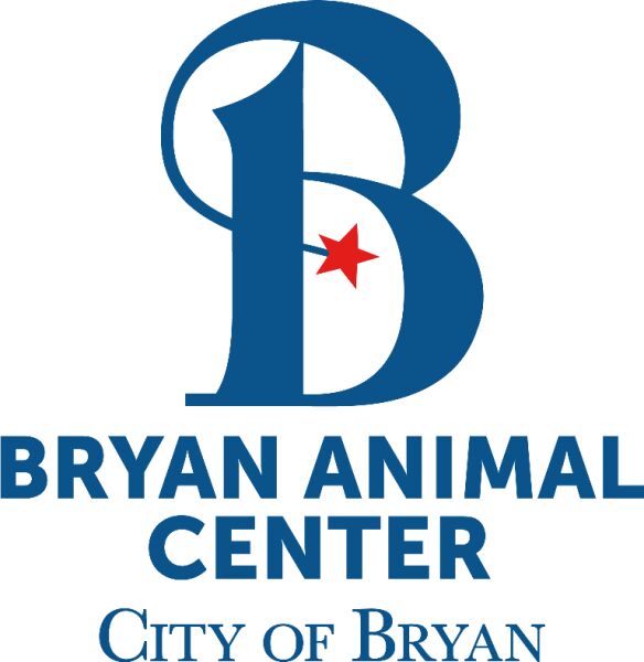 Organization's Logo