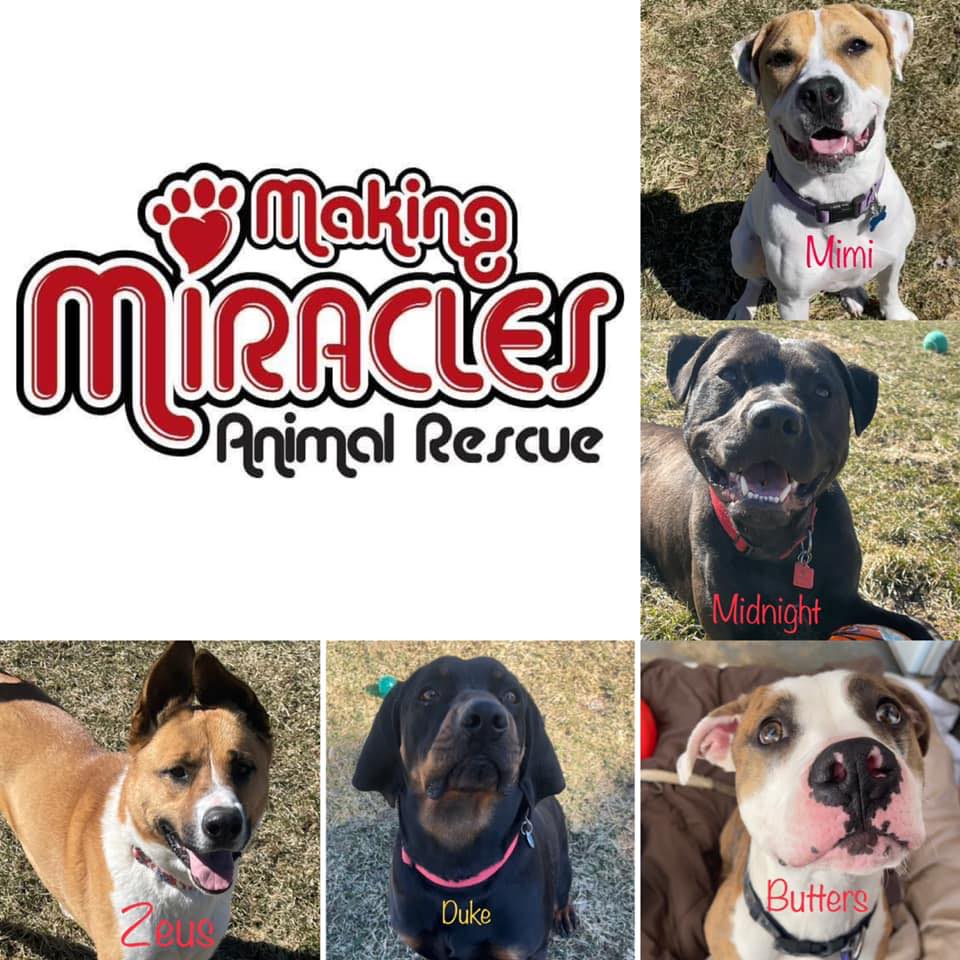 Logo for Making Miracles Animal Rescue