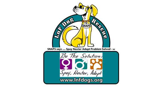 Logo for Lost And Found Dog Rescue