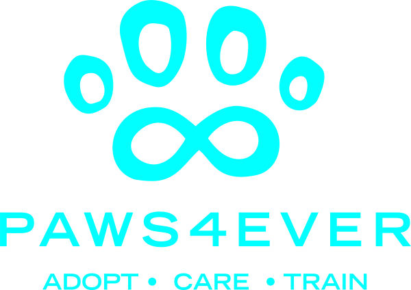 Logo for Paws4ever