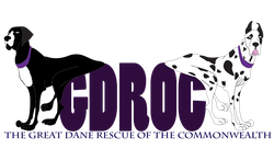 Logo for Great Dane Rescue Of The Commonwealth
