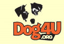 Organization's Logo