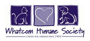 Organization's Logo
