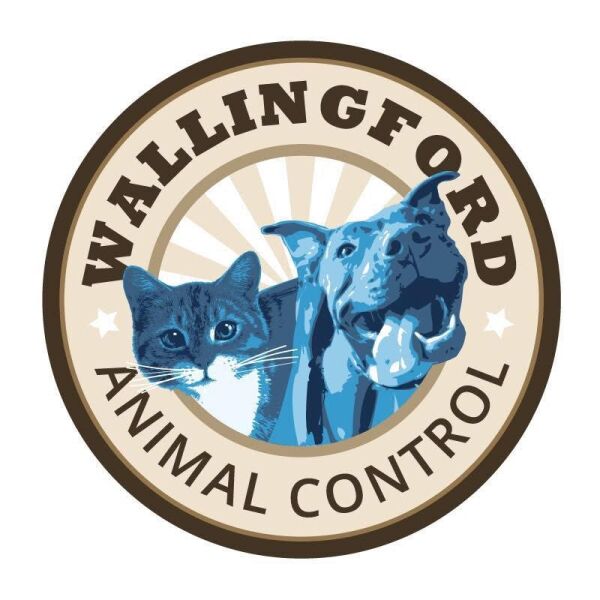 Logo for Wallingford Animal Shelter