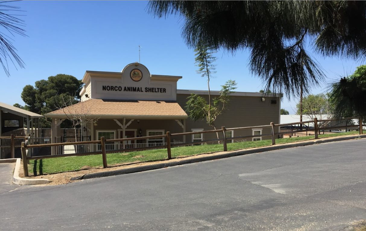 Logo for Norco Animal Shelter