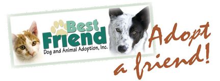 Logo for Best Friend Dog And Animal Adoption