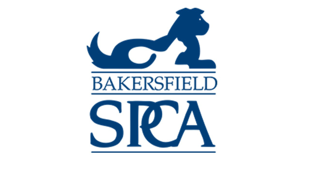 Organization's Logo