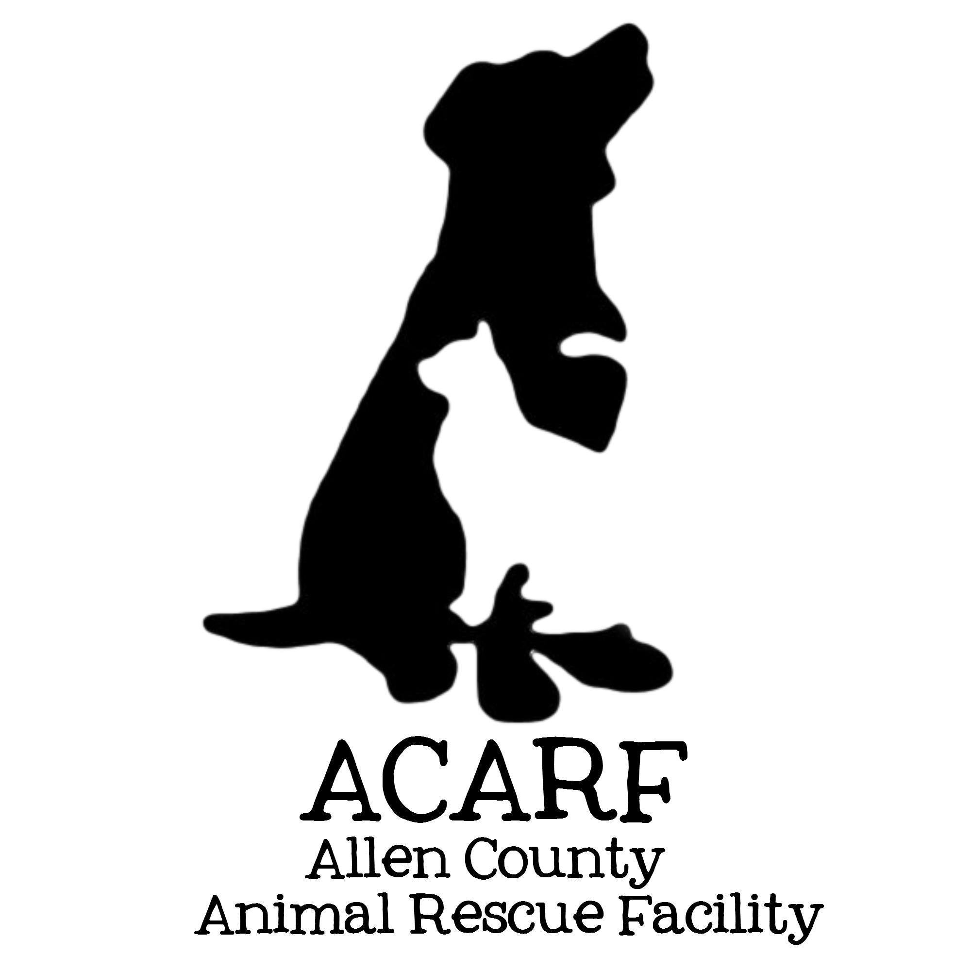 Organization's Logo