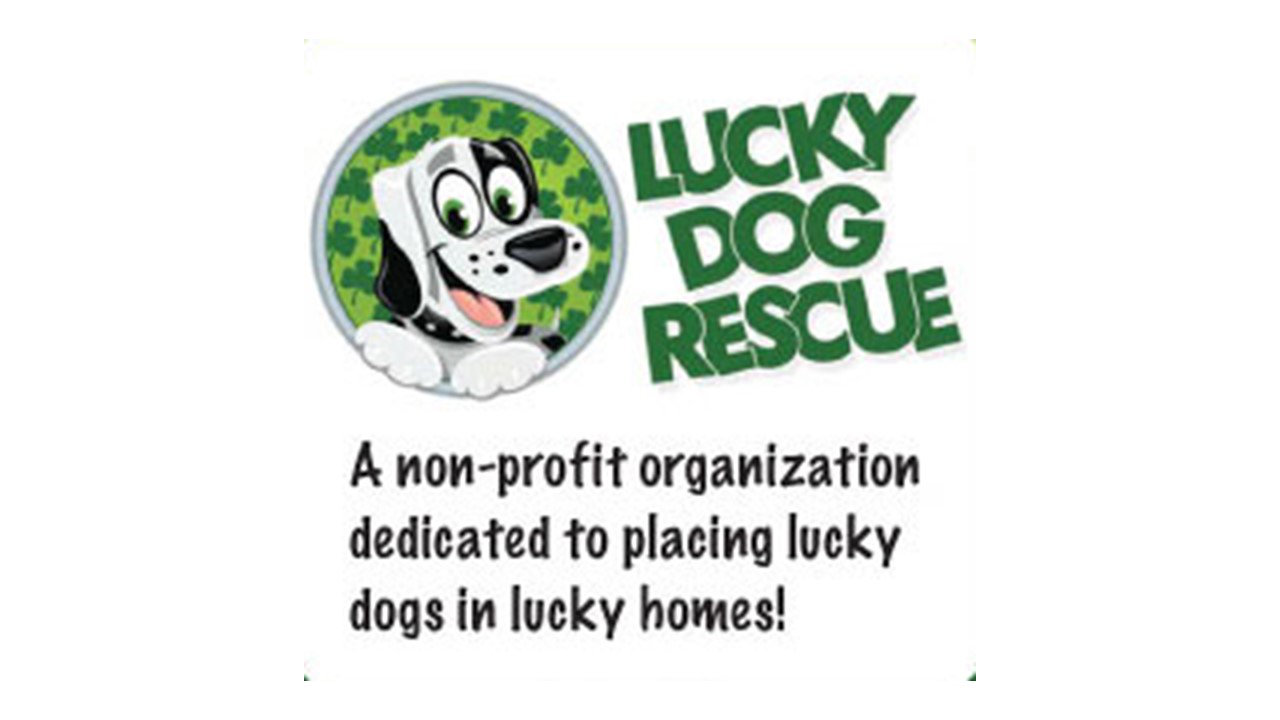 Logo for Lucky Dog Rescue