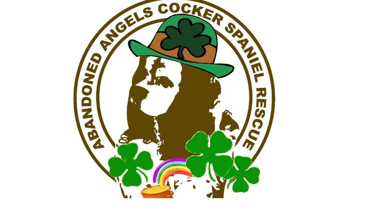 Logo for Abandoned Angels Cocker Spaniel Rescue