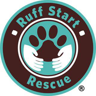 Organization's Logo