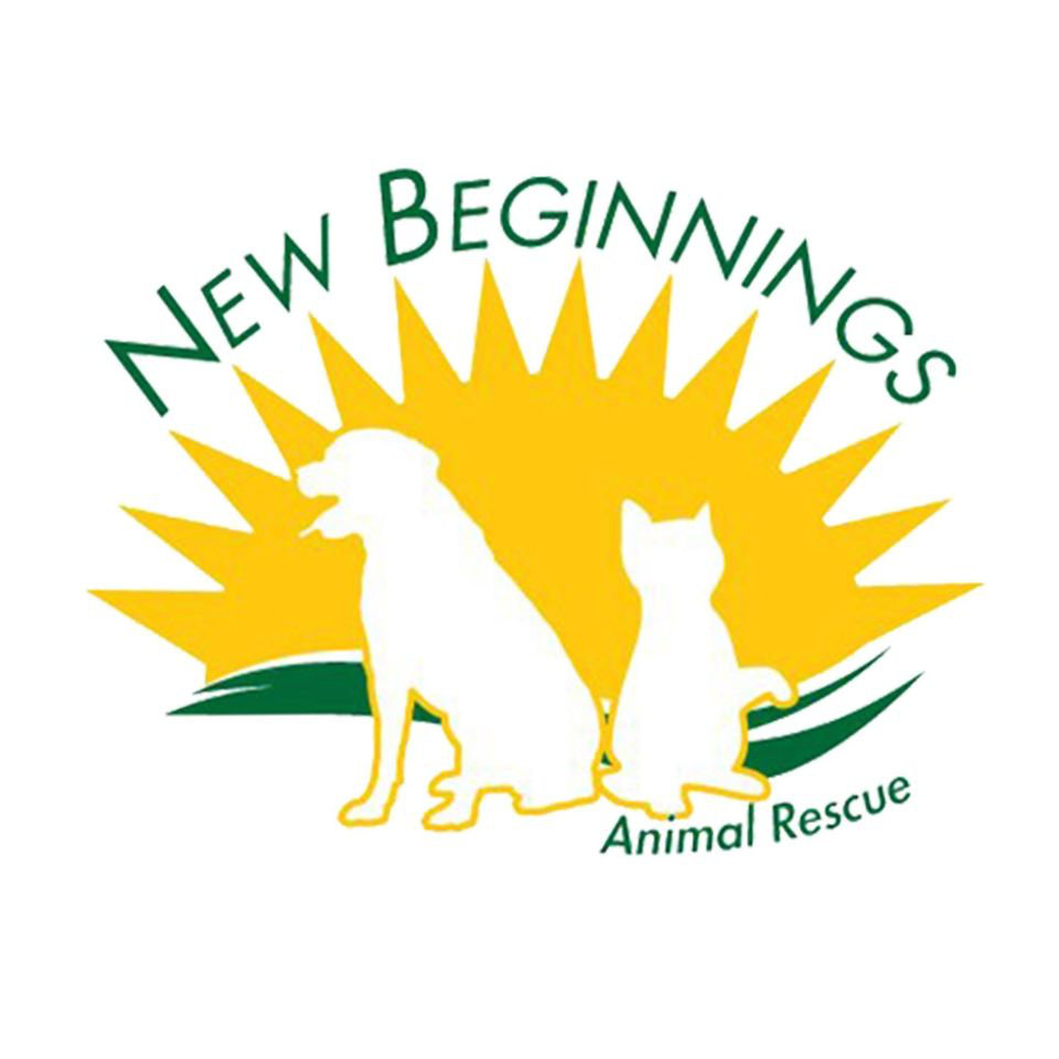 Organization's Logo