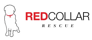 Logo for Red Collar Rescue