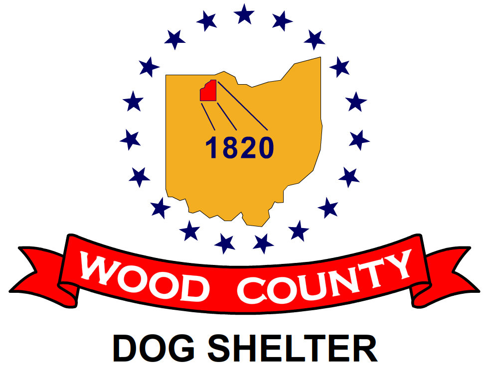 Organization's Logo