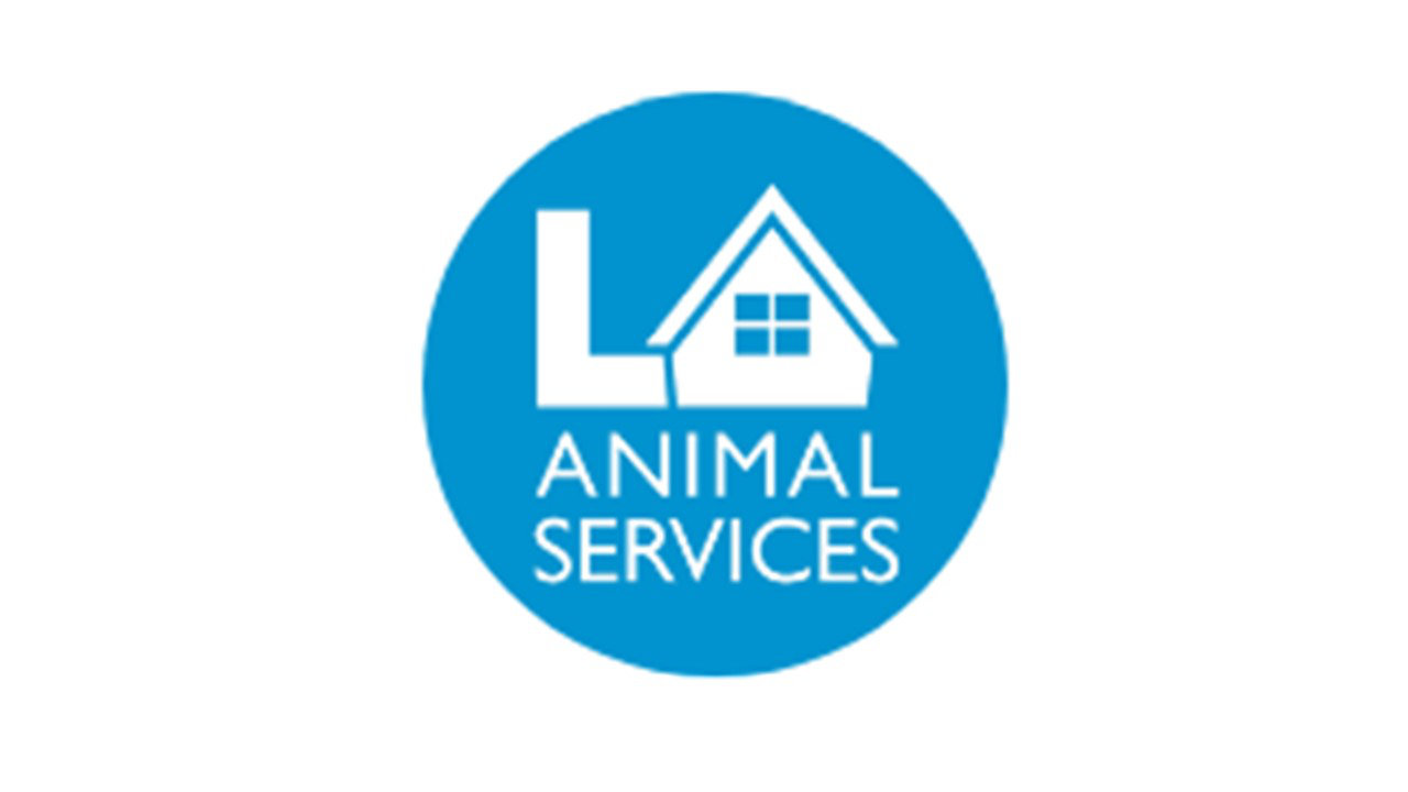 Organization's Logo