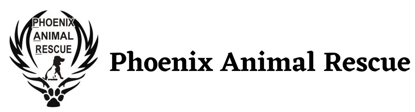 Organization's Logo