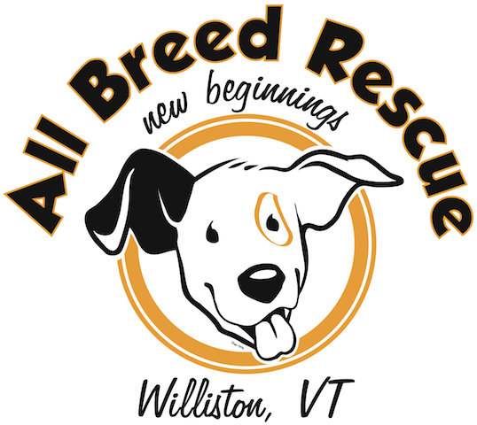 Organization's Logo