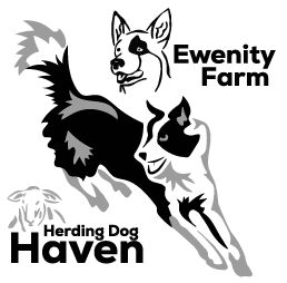 Logo for Ewenity Farm Border Collie Haven