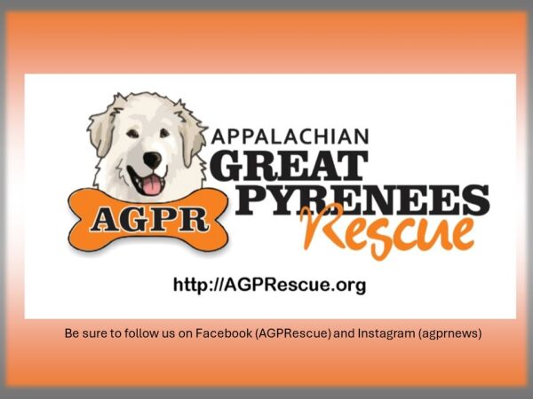 Logo for Appalachian Great Pyrenees Rescue