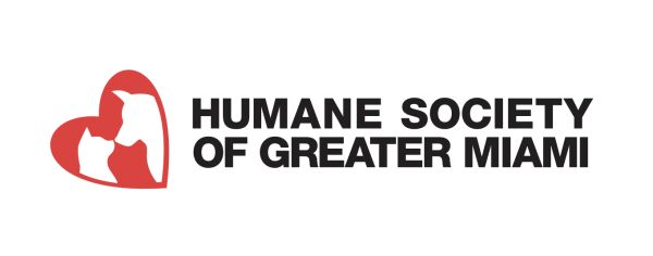 Organization's Logo