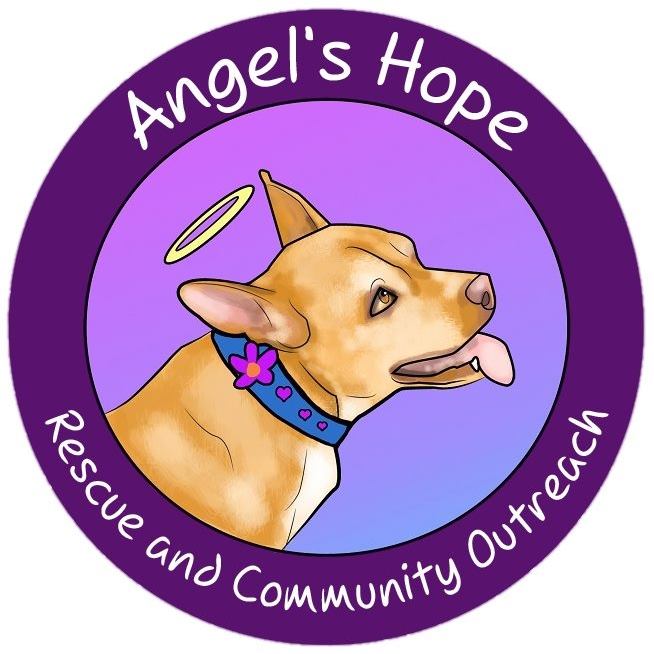 Logo for Angel's Hope