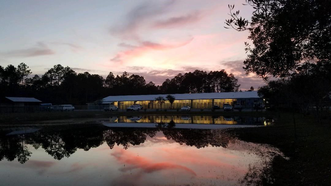 Logo for Bay County Animal Control