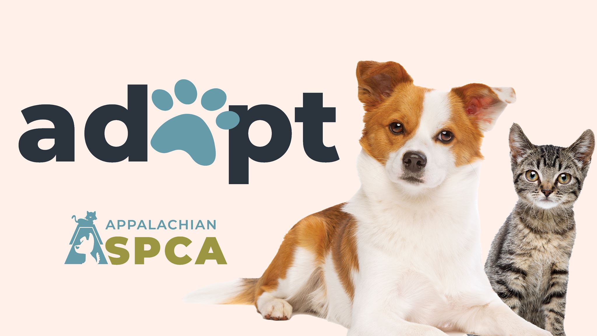 Logo for Appalachian SPCA