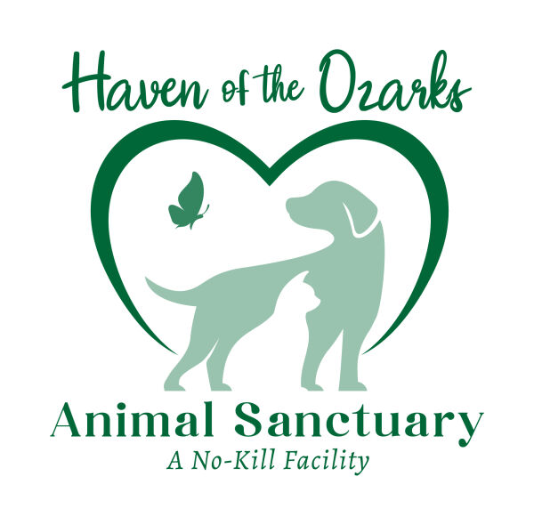 Organization's Logo