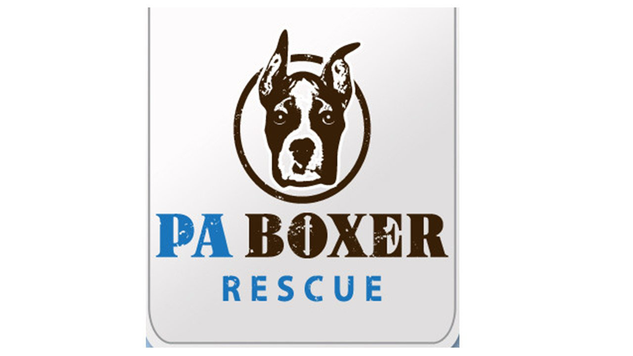 Organization's Logo