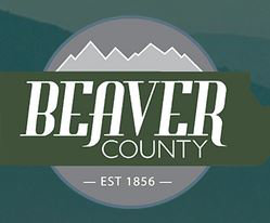 Organization's Logo