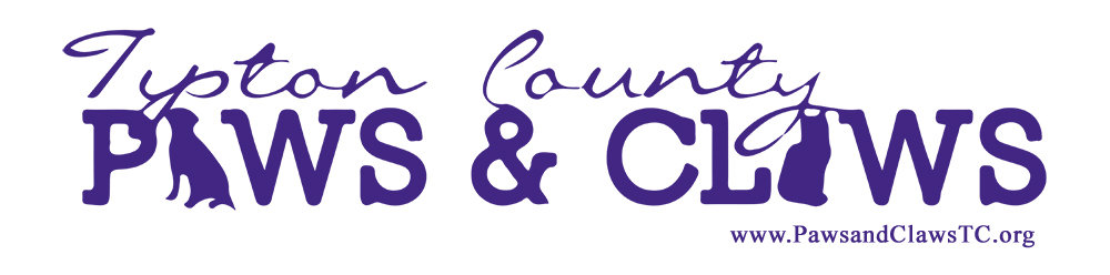 Organization's Logo