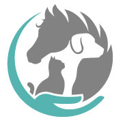 Organization's Logo