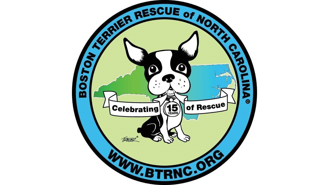 Logo for BTRNC - Boston Terrier Rescue Of North Carolina