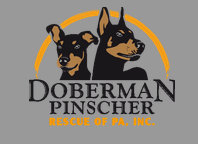Organization's Logo