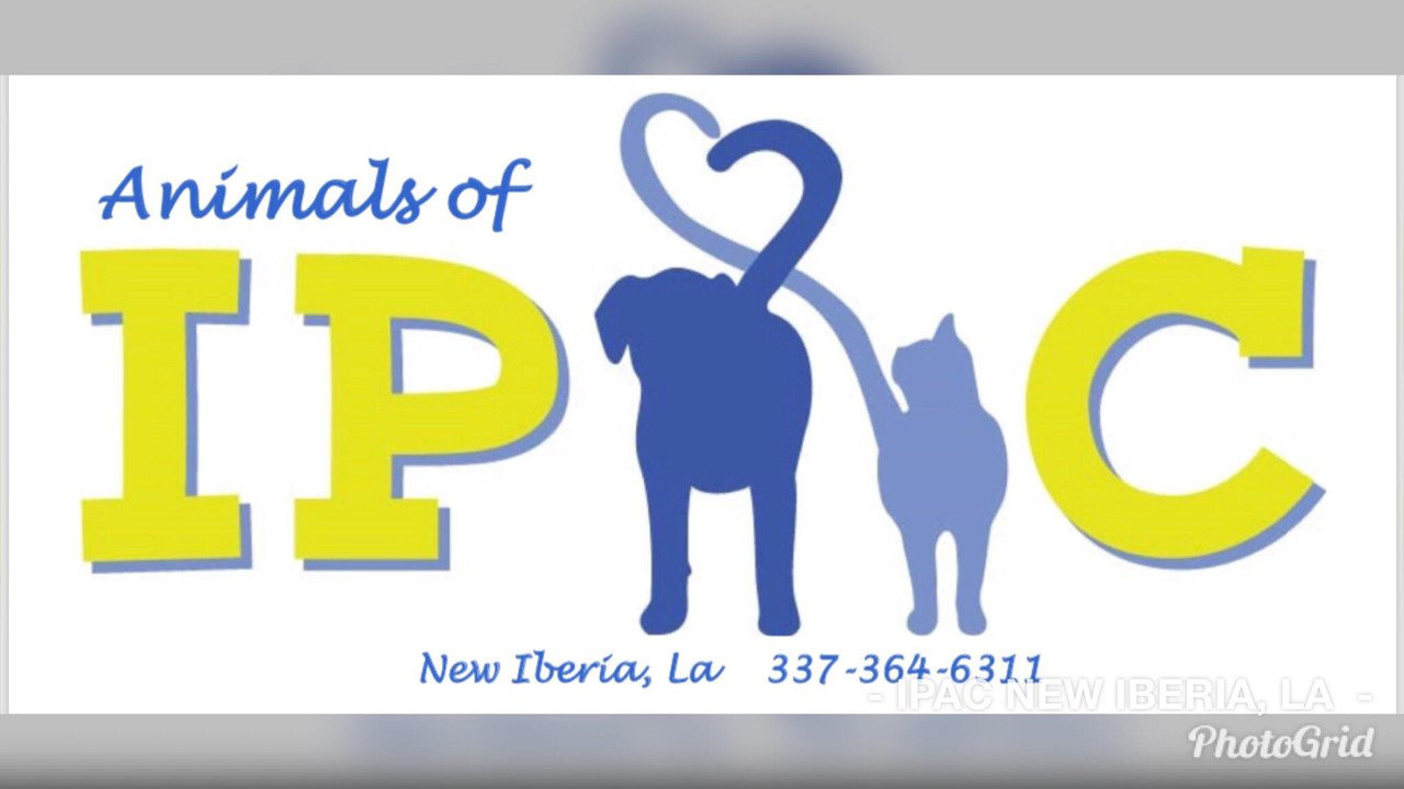 Logo for Iberia Parish Rabies Control/Animals of IPAC