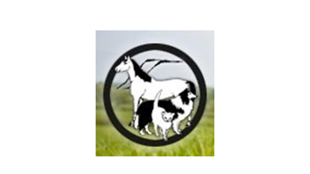 Organization's Logo
