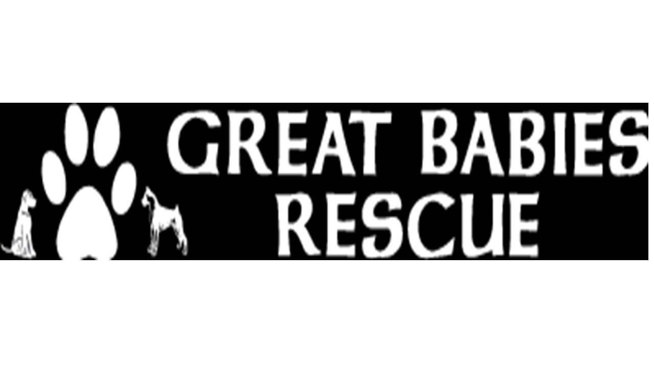 Organization's Logo