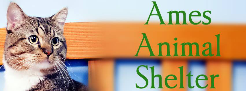Logo for Ames Animal Shelter