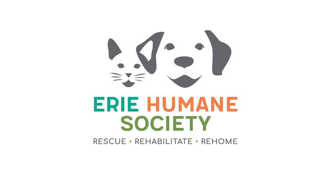 Organization's Logo