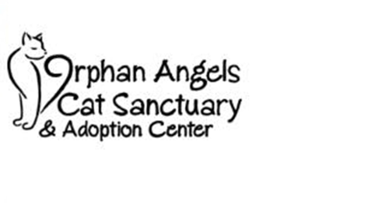 Logo for Orphan Angels Cat Sanctuary & Adoption Center